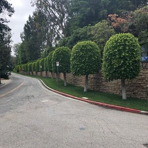 Meet your Posher, Gabriella